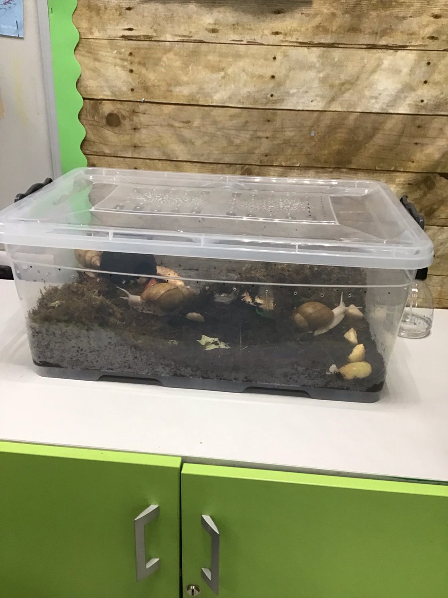 Mrs Booth tweet media