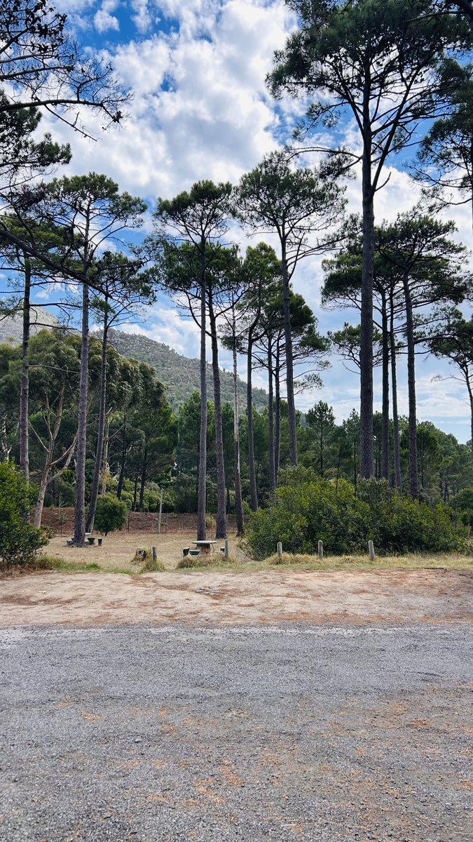 Scottish tweet media