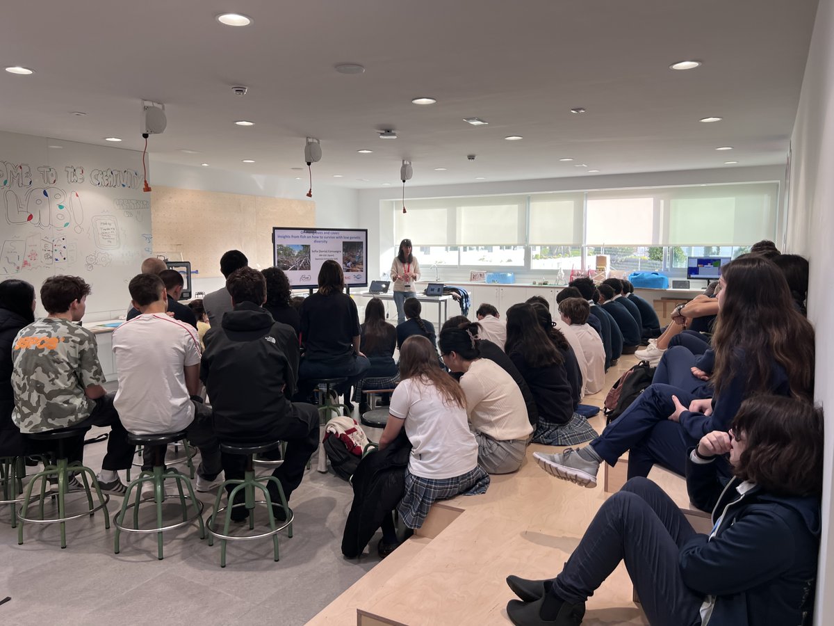 OLDSALMO tweet media