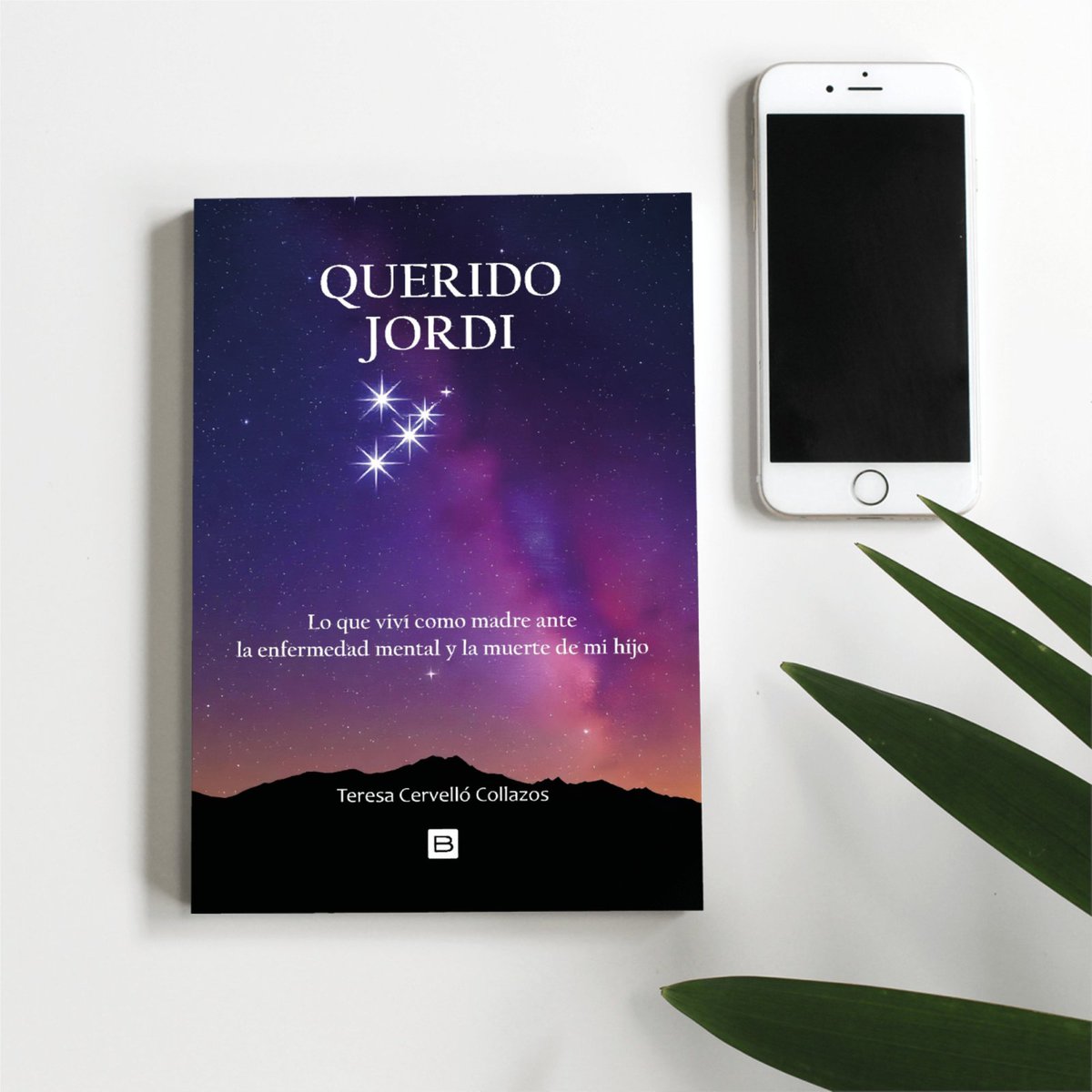 ❤️El testimonio de una madre que pone palabras a lo vivido ante la enfermedad mental y la muerte de su hijo. 

Sin moralejas, sin grandes discursos. Desde lo cotidiano, desde el amor, desde la escritura como forma de sostener la vida cuando duele.

⭐️amzn.to/4agUAtC