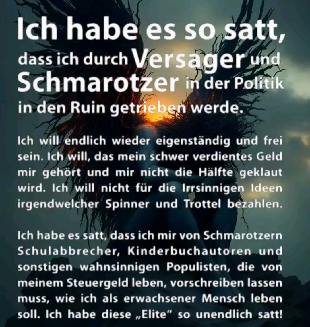 Ich habe diese gesamte Politik soooooooo unendlich satt‼️