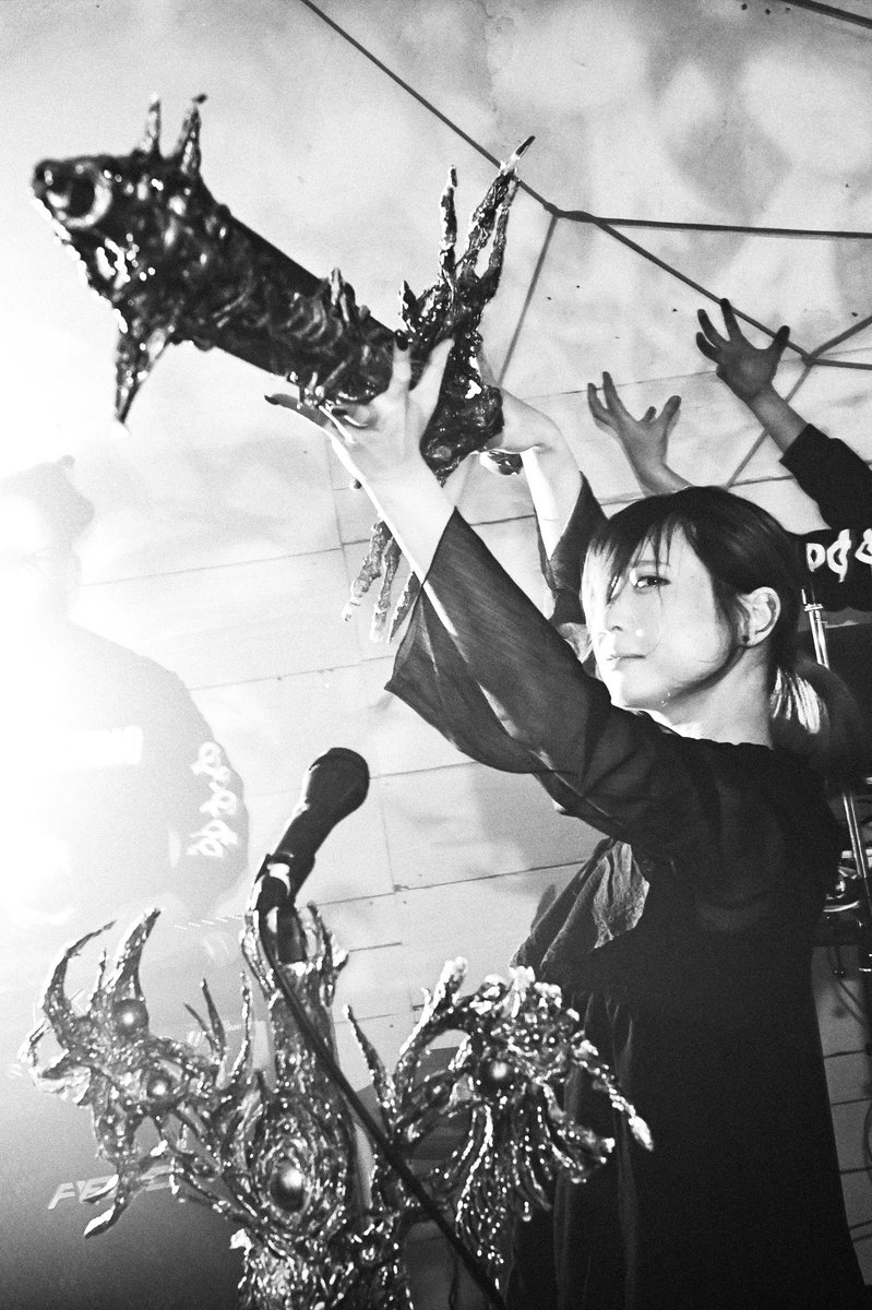 VMO_Violent tweet media