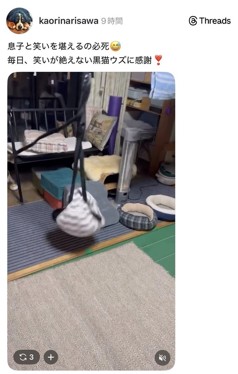 紐で吊るした袋に猫を入れて、それを回転させ笑いながら動画を撮る親子
袋から出たあとの黒猫は目が回ってクタクタでした
無理矢理回されて笑われて可哀想な黒猫
酷すぎる