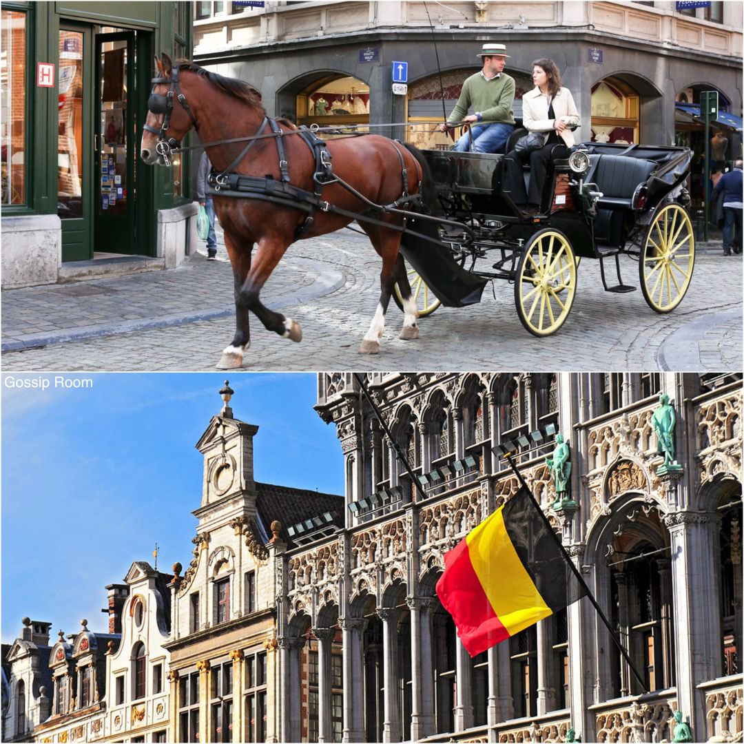 GossipRoomOff's tweet photo. 🚨 Bruxelles interdit officiellement les calèches à cheval pour protéger le bien-être animal.

Les attelages traditionnels seront remplacés par des calèches électriques, mettant un terme à des années d’exposition des chevaux au trafic, au bruit et à la pollution. 

La capitale belge affirme vouloir concilier patrimoine, modernité et éthique, en repensant le tourisme urbain sans exploitation animale. 🐴🇧🇪 (via Viens on part loin)