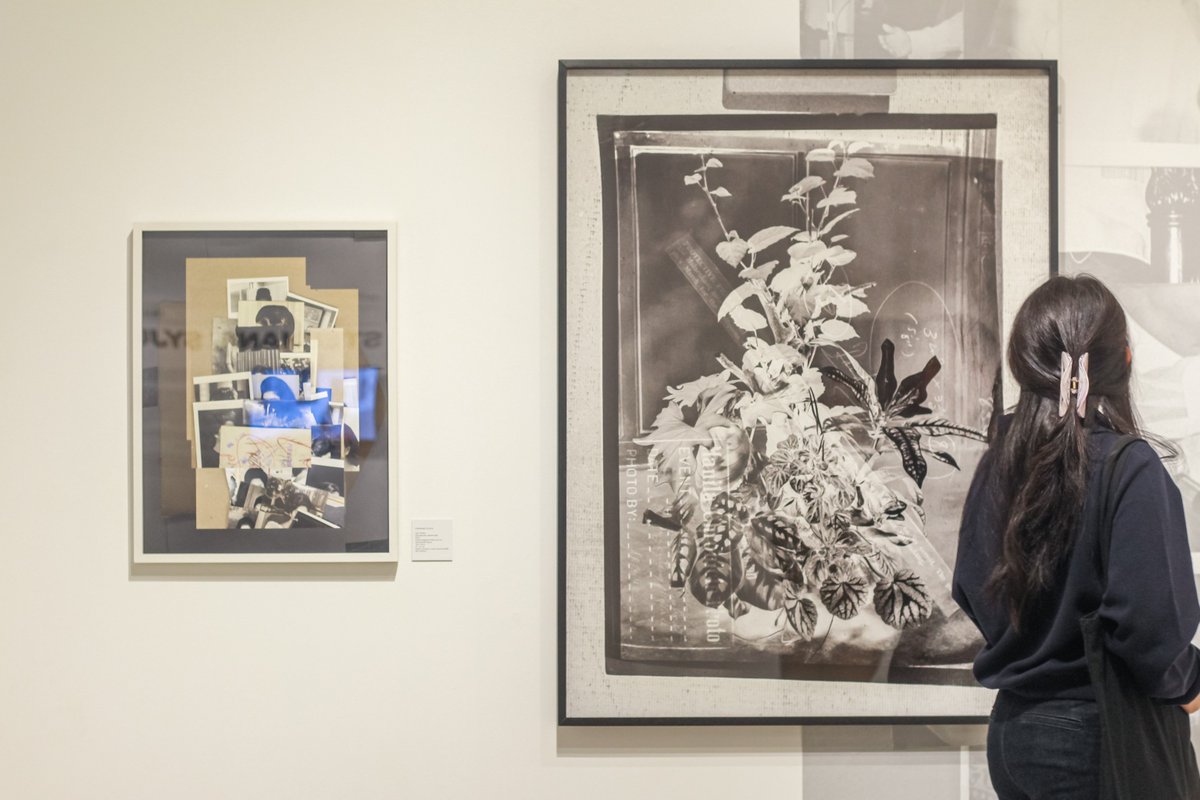 Ayala Museum tweet media