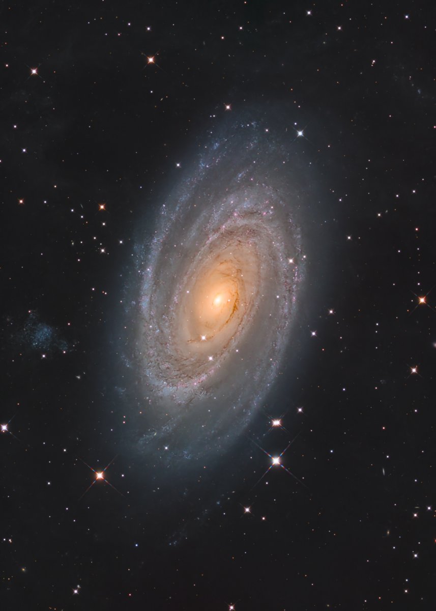 おおぐま座のM81（ボーデの銀河）。 今年最初の天体撮影は、北天の銀河