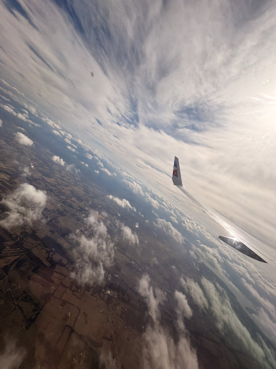 lotus 🇨🇺 tweet media