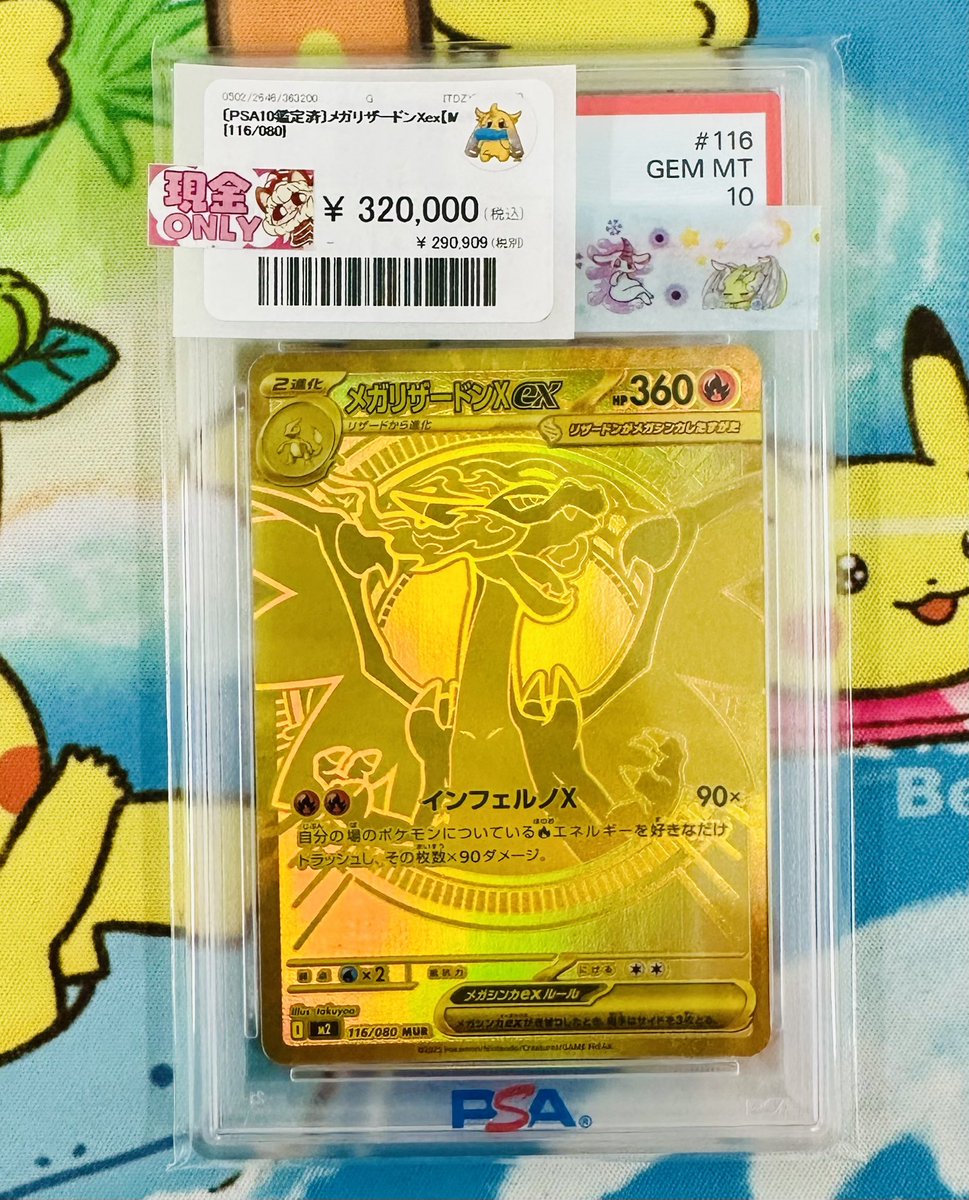 🩷🩵🩷🩵🩷🩵🩷🩵🩷🩵🩷🩵🩷 ✨新着商品✨ ショーケースに追加いたし