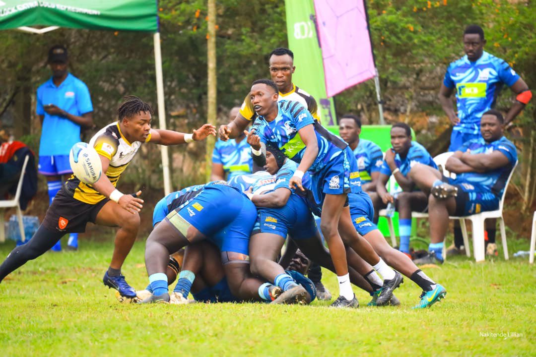 KCB KOBs Rugby Club tweet media