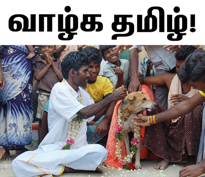 lanka_world's tweet photo. @Whisperer2024 @YRanaraja @TamilGuardian @Thusi_Kumar @RajapaksaNamal https://t.co/eSRd4WrQq4