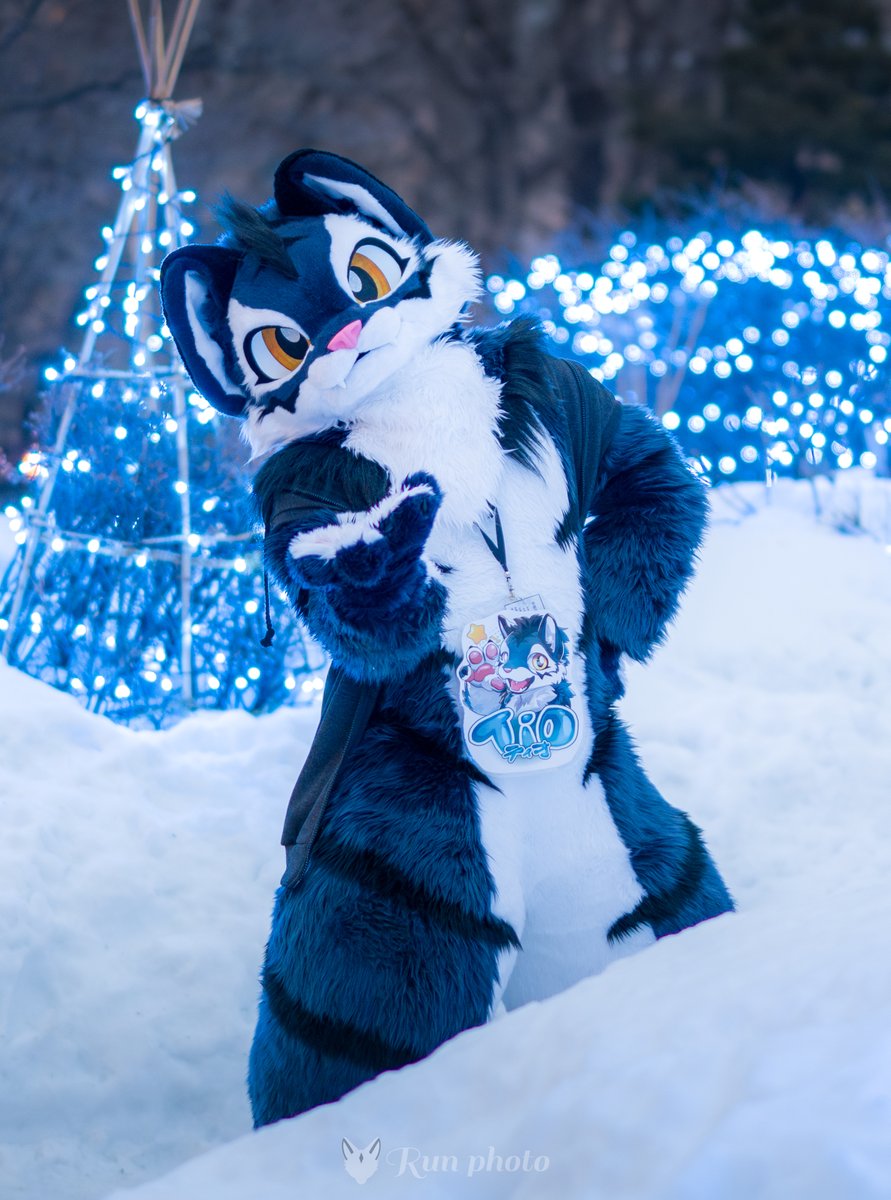 るん (Run) (@run_charizard) / Posts / X