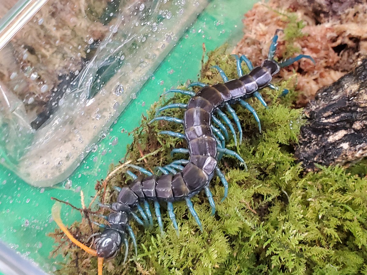 自然探索部@4/12 SB tweet media