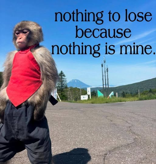 ☥ Yuge Bigly-servant of the Compeller & Restorer🌹 (@space_treasure8) on Twitter photo 