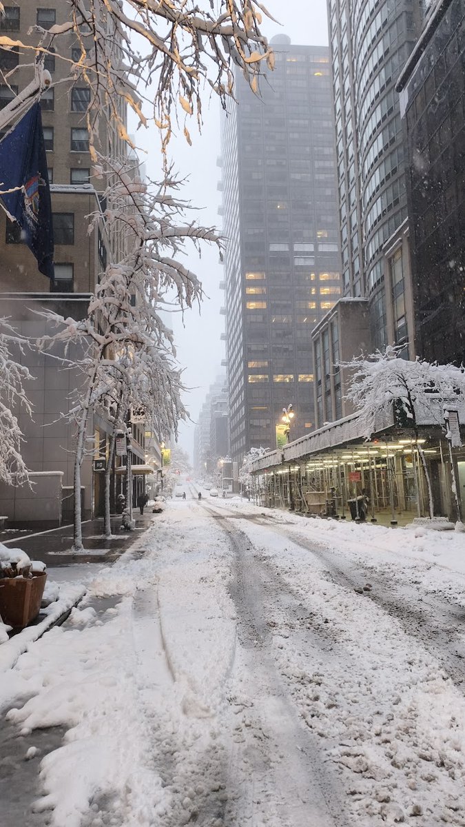 暴風雪から一晩明けたニューヨークです。本日は正午まで移動禁止、会議