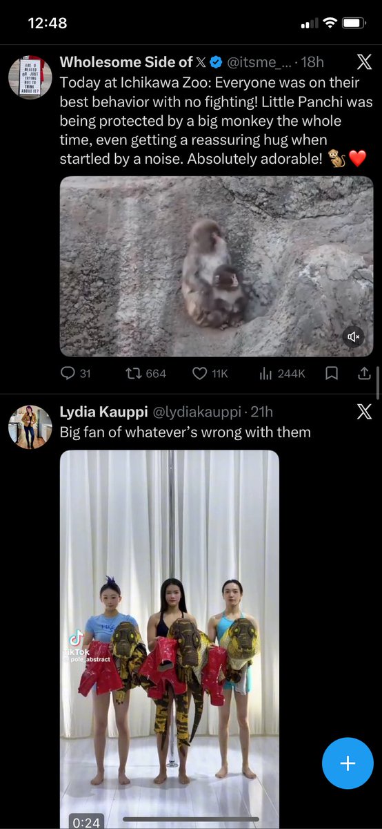 My VPN placing me in Japan is a blessing to my TLs.