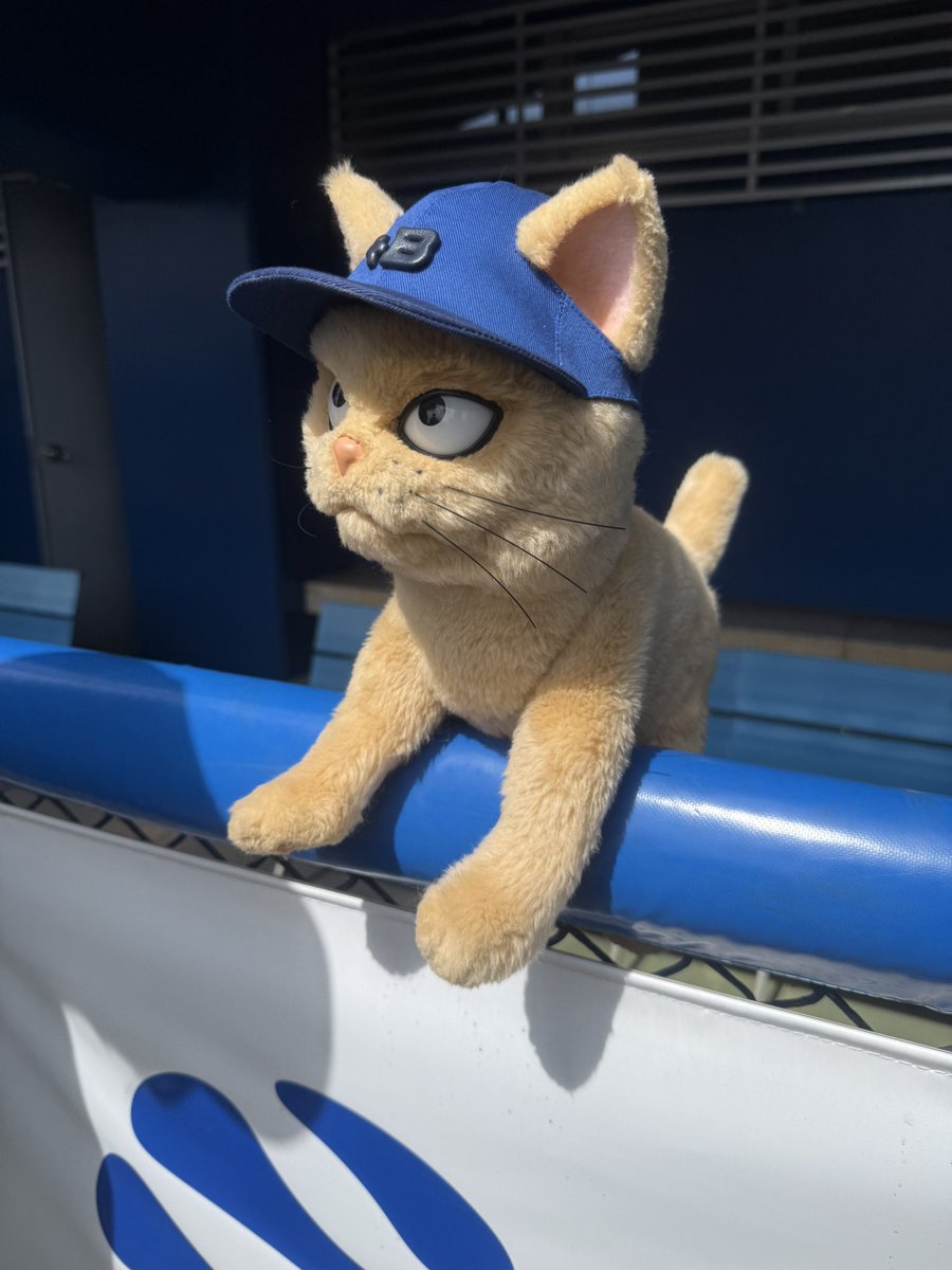 tagami_61's tweet photo. キャンプ終了！
開幕まであと一ヶ月！がんばろう！

#baystars️ 
#春季キャンプ https://t.co/yrP8R8Pxtc