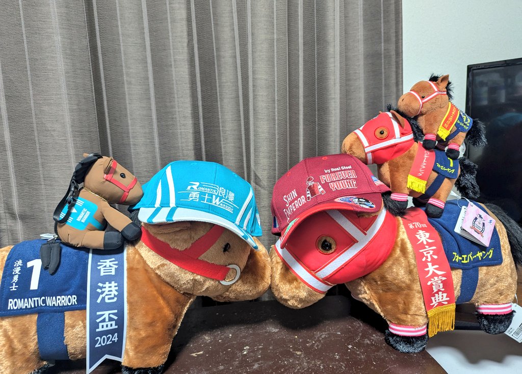香港国際競走のグッズもらってぬいも届いたので #ロマンチック