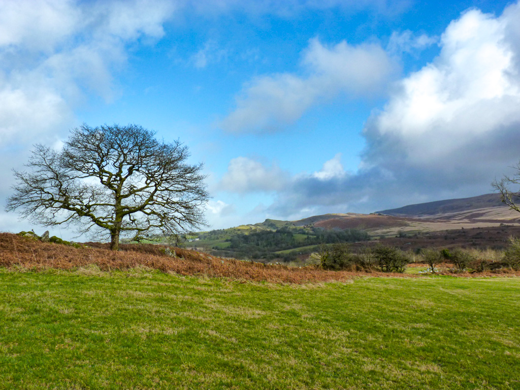 Jones8Pamela's tweet photo. A brief few hours of dry weather yesterday on the Black Mountain/Y Mynydd du Carmarthenshire @ItsyourWales @StormHour https://t.co/VKp26k4kWd