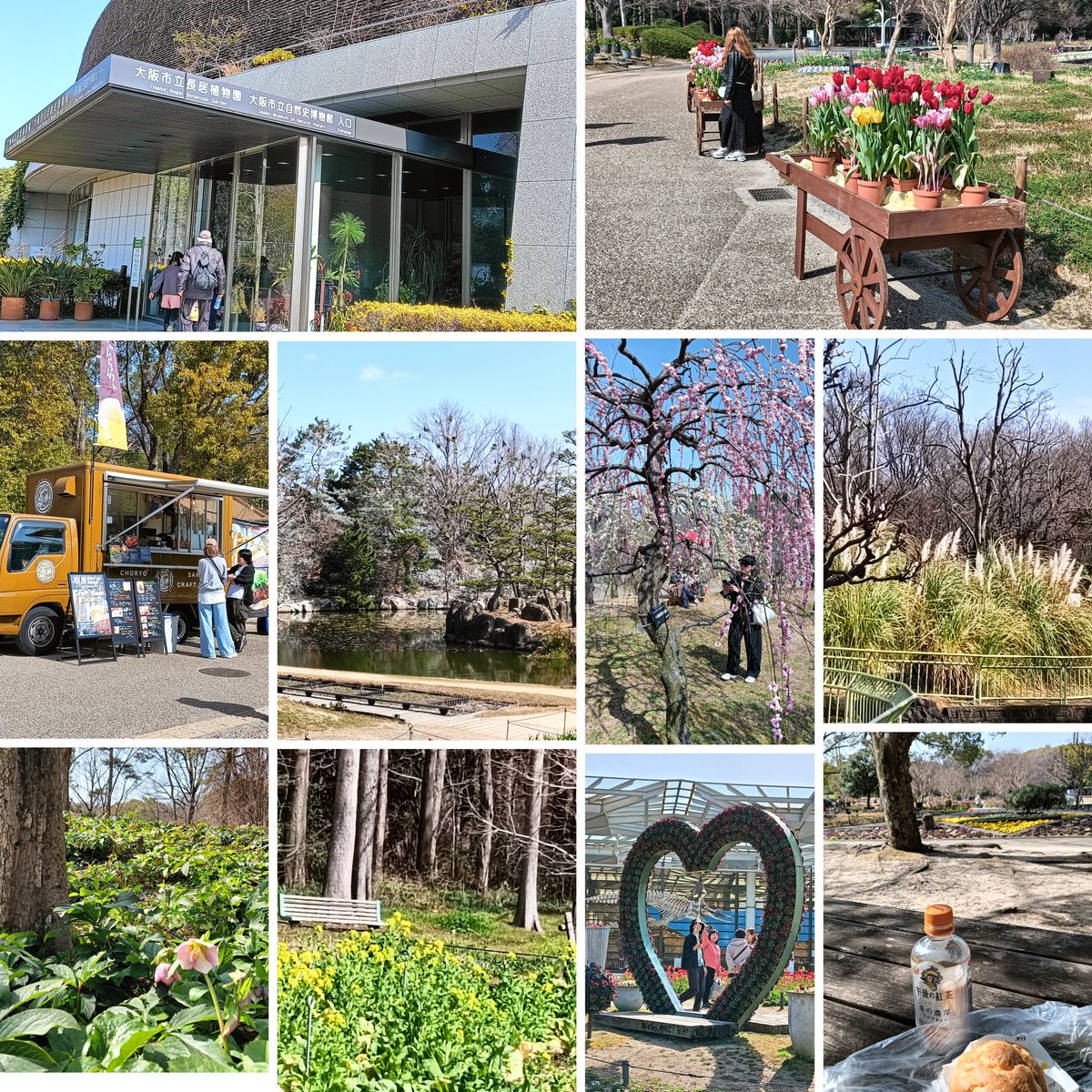 MOKOMOKO0210 tweet media