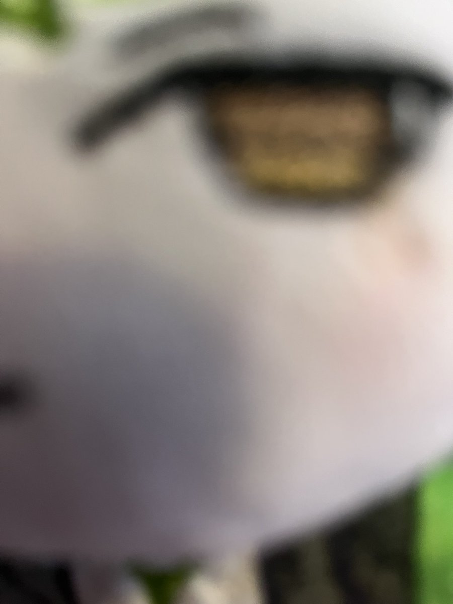 this mf had me sewing for 4 hours this morning!! im so tired