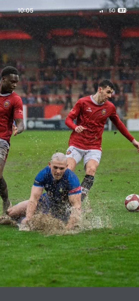 leon mettam tweet media