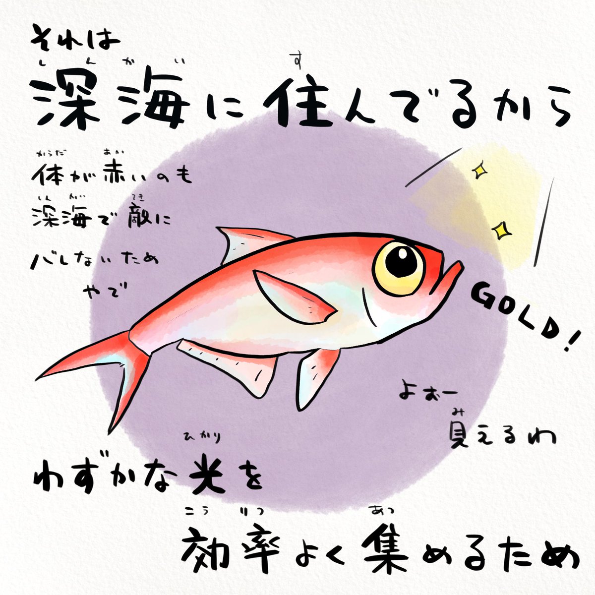 さかなのおにいさん かわちゃん (@sakana_bro) / Posts / X