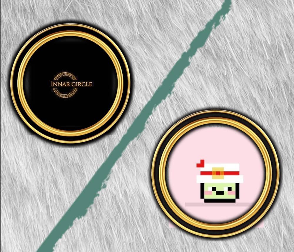INNAR CIRCLE tweet media
