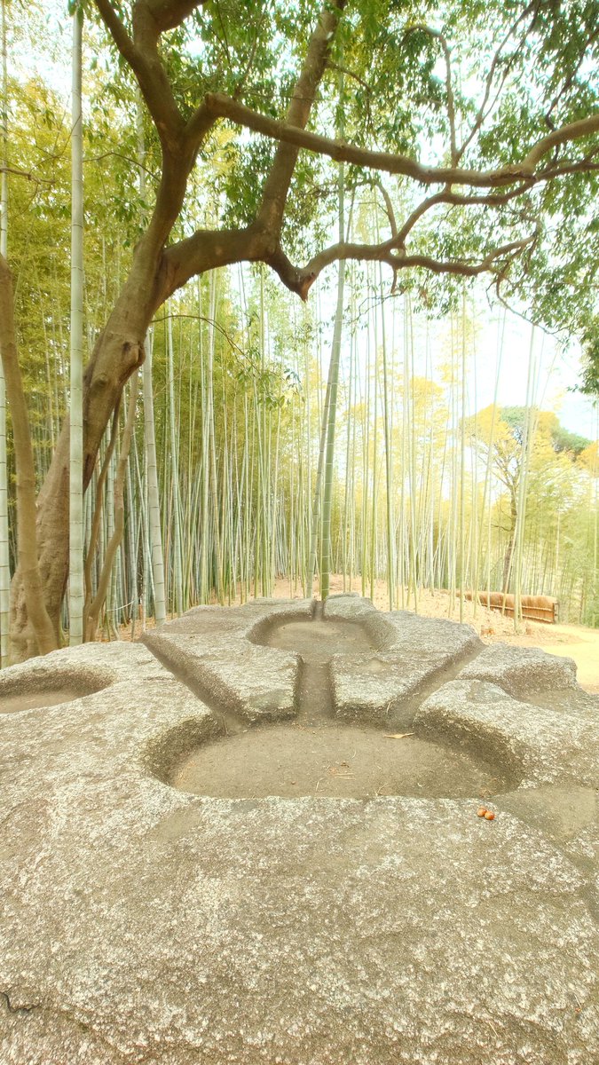 高野山から車で1時間半くらい。 不思議な模様が刻まれている巨石を見に