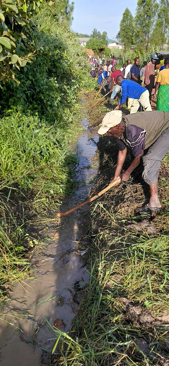 mzuzucity's tweet photo. Community led interventions in Nkhokwe Ward, thanks to Councillor Mandinda Ng'oma and local structures for the well coordinated activity.

Drainage clearing is vital. https://t.co/A9M5II0xX9