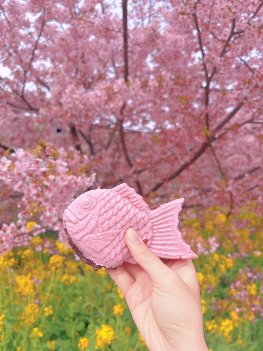 福田ゆあ tweet media