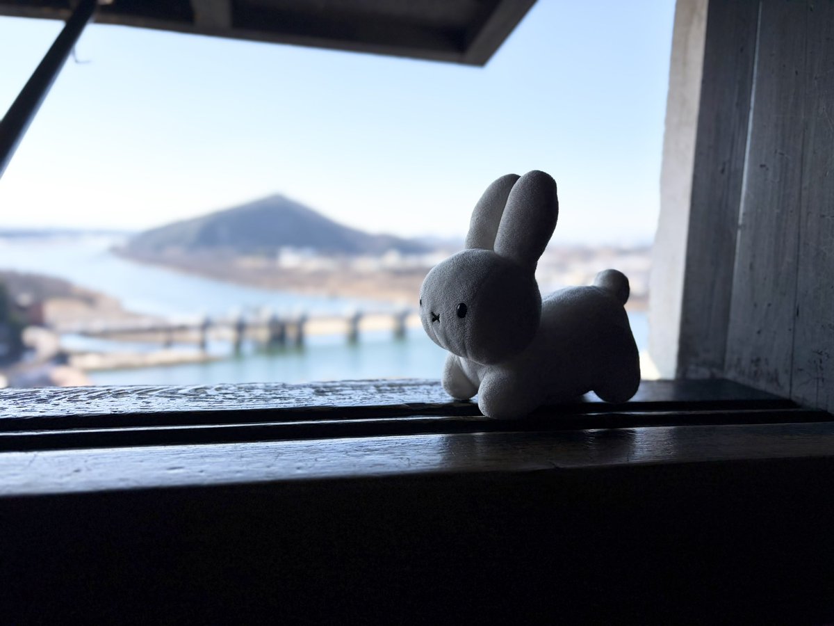 Post by 野生のうさぎ on X: 絵になるねぇ