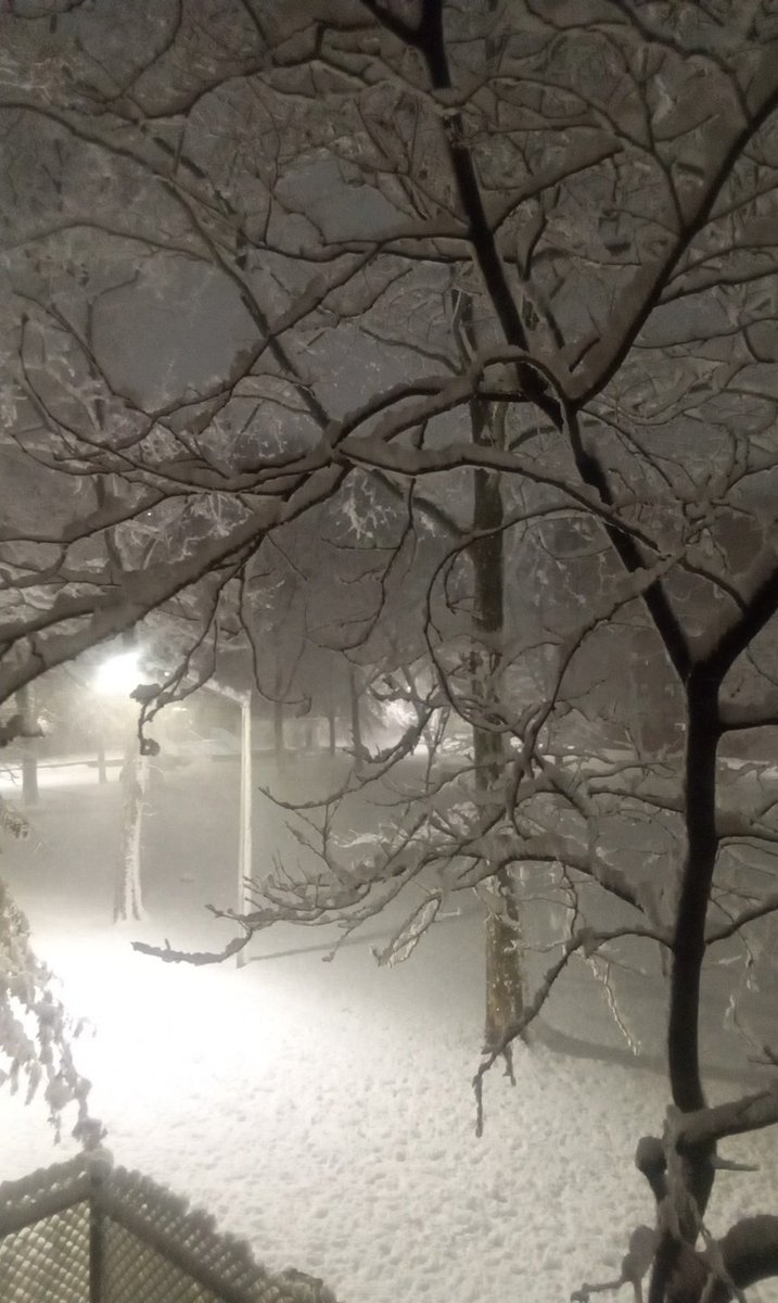 MMyrick29's tweet photo. Snow in Brooklyn, 2026! 🌨 @WeatherNation @foxweather @FOXWeatherDesk @News12BK #NYCSnow https://t.co/jFtZ4AM4rg
