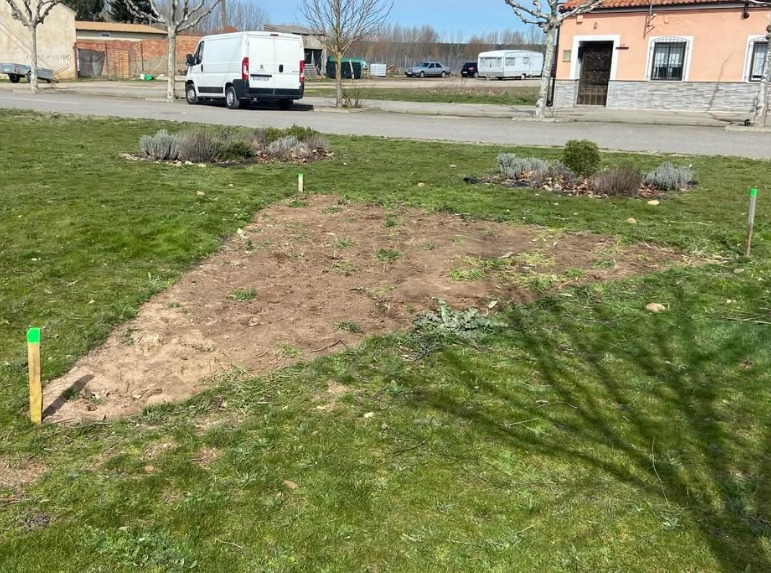 Comenzamos con el replanteo de la plantación 25-26 en el jardín de Nuestra Sra del Duero 🌳🌼
Alumnado de <a href="/calasancioalmaz/">Colegio Plurilingüe Calasancio</a>
➕️ de <a href="/IES_Gaya/">IES_GayaNuño</a> junto con profesorado del <a href="/CIFPALMAZAN/">C.I.F.P. ALMAZAN</a> realizan el diseño de la plantación y el conteo de las marras de años anteriores.
<a href="/CFIEdeSoria/">CFIE de Soria</a>