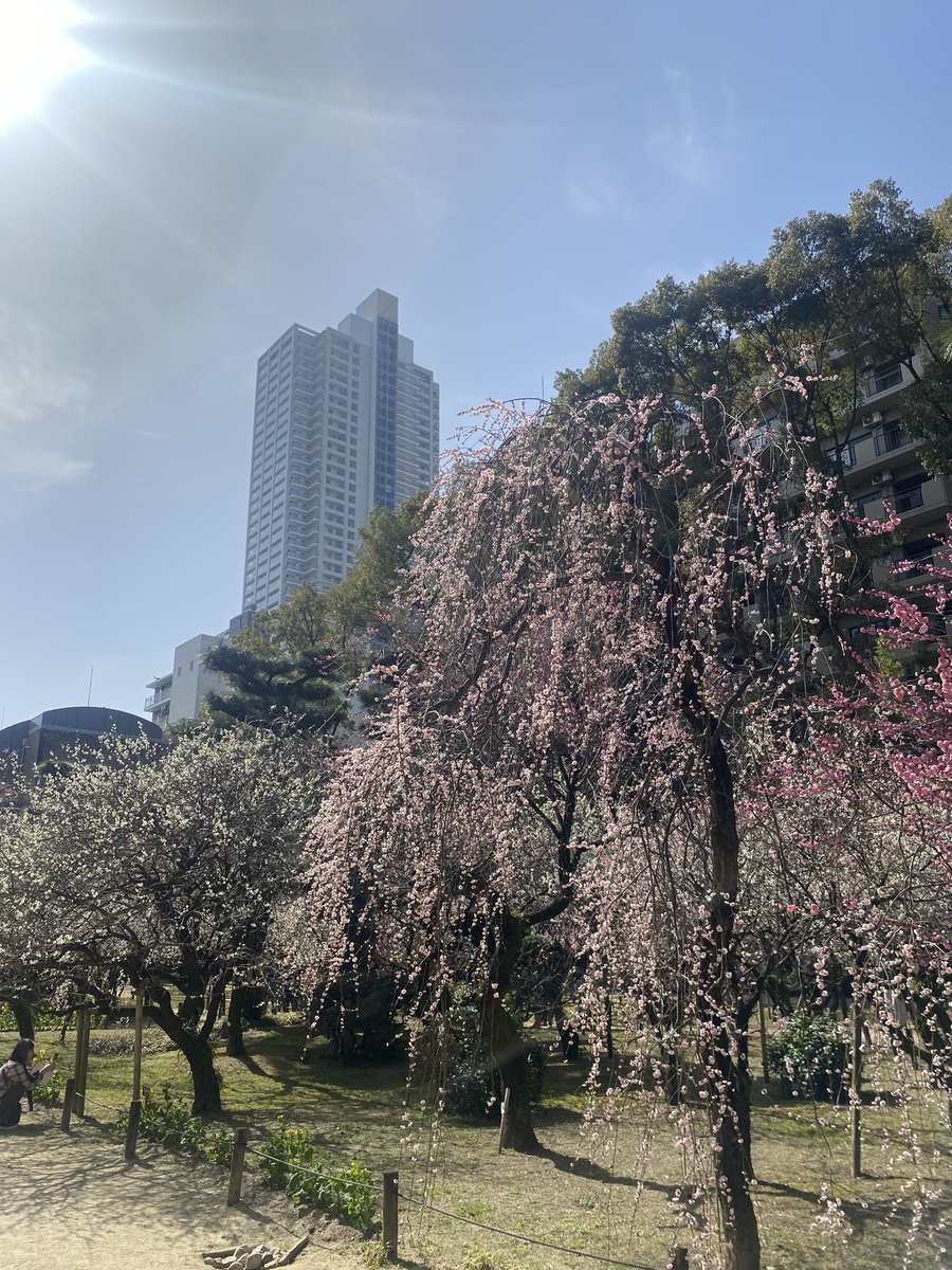 あやのすけ (@a2c906sc2) / Posts / X