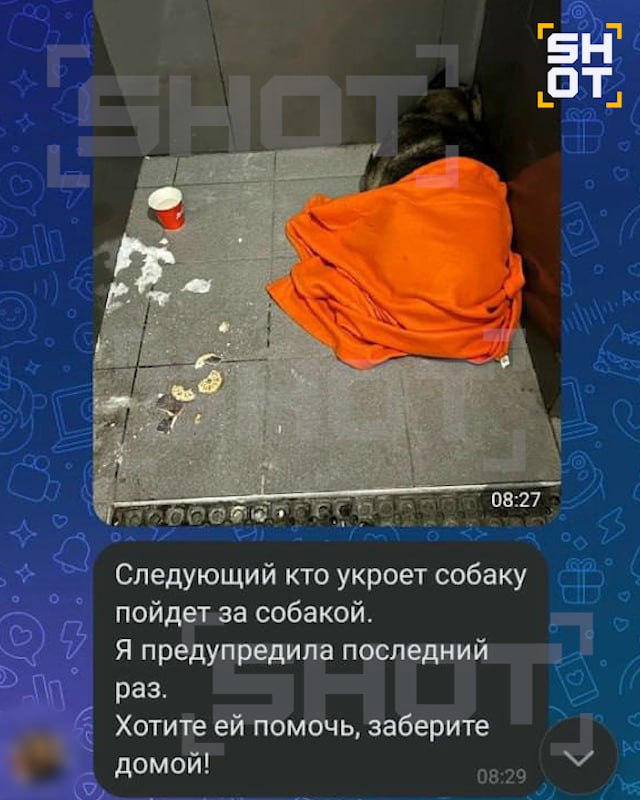 Холод tweet media