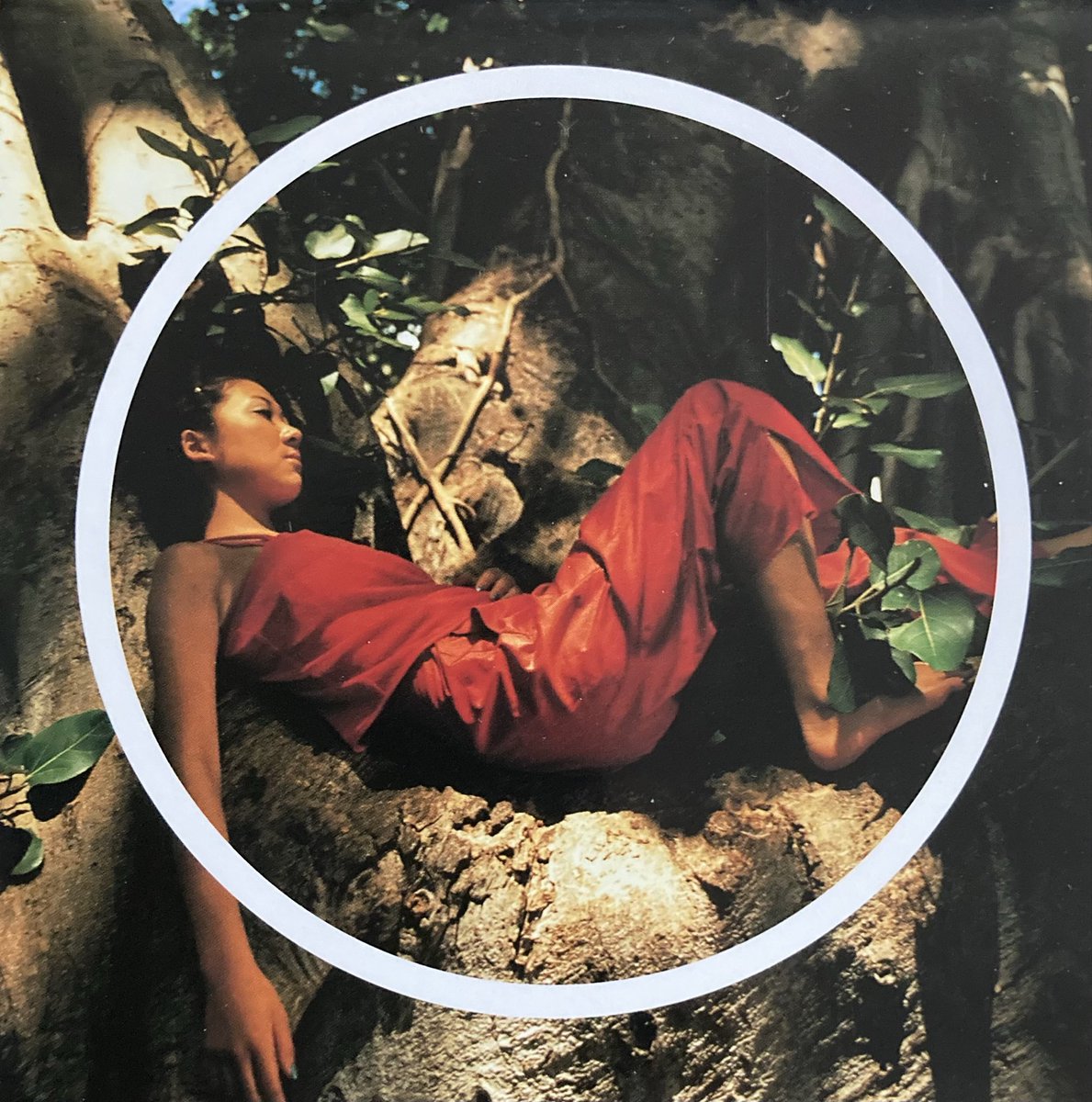 なうぷれいんぐ(2255) MISIA 「Mother Father Brother Sister」 1998年