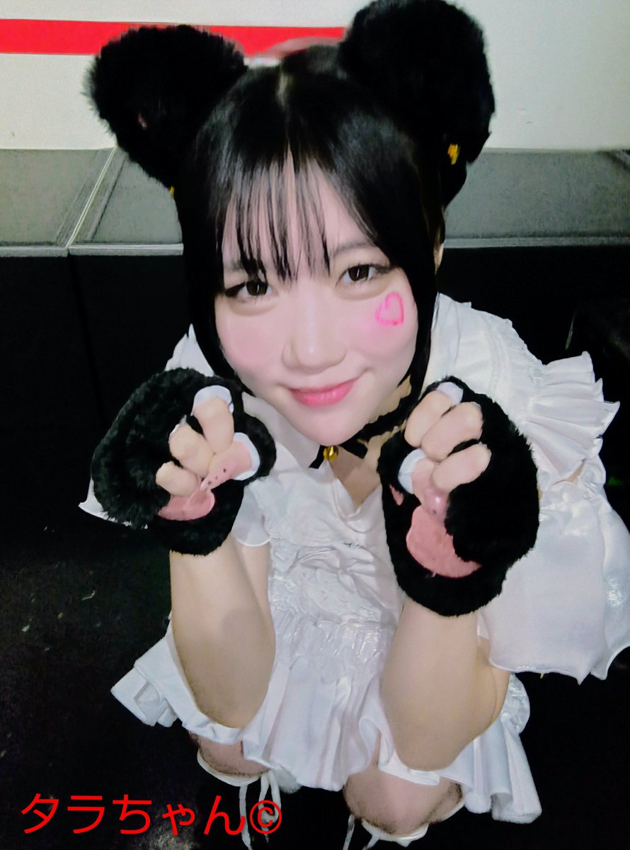 タラちゃん (@Tara_chang7) / Posts and Replies / X