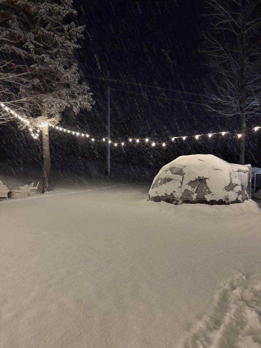 Daniel Kaufman tweet media