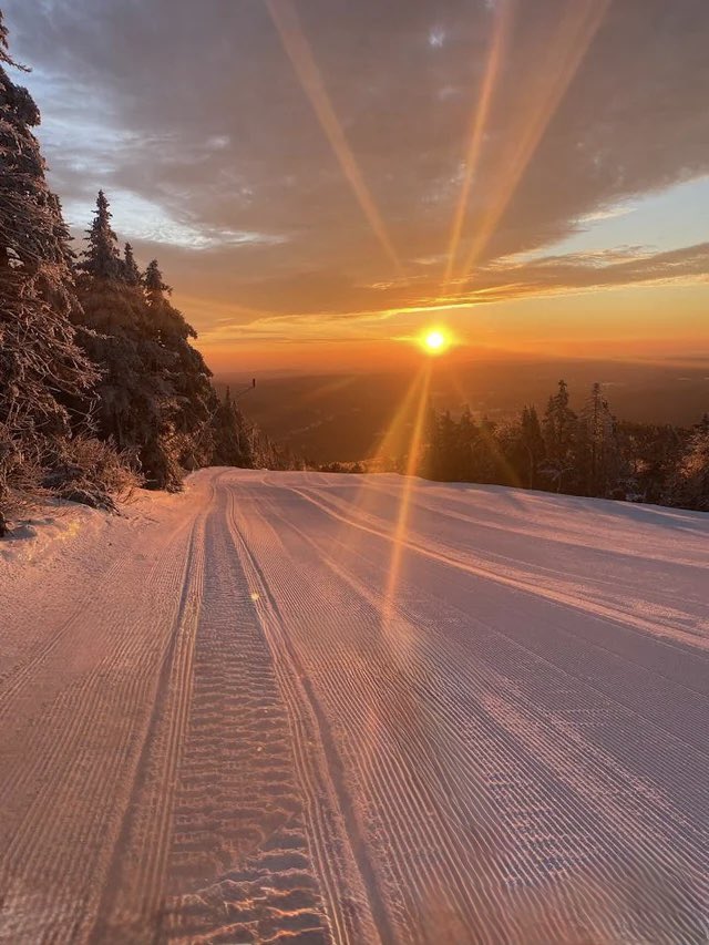 Daniel Kaufman tweet media