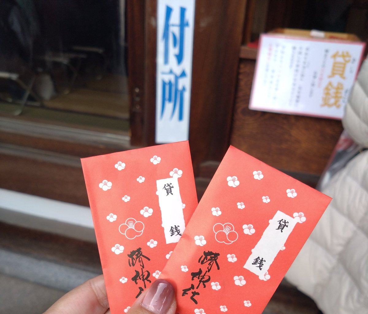 伊豫豆比古命神社の椿まつり とにかくすごい人でした 貸銭にしっかり