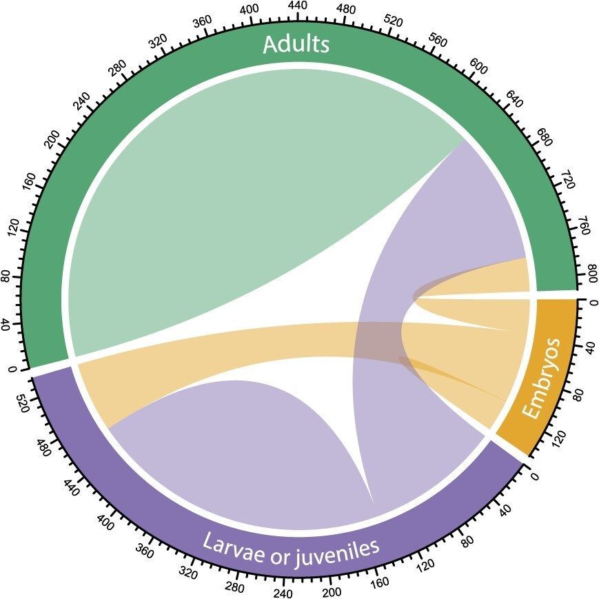 ConservationPhysiology tweet media