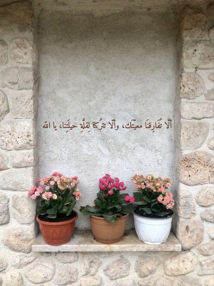 مُطمئِنةَ.! tweet media