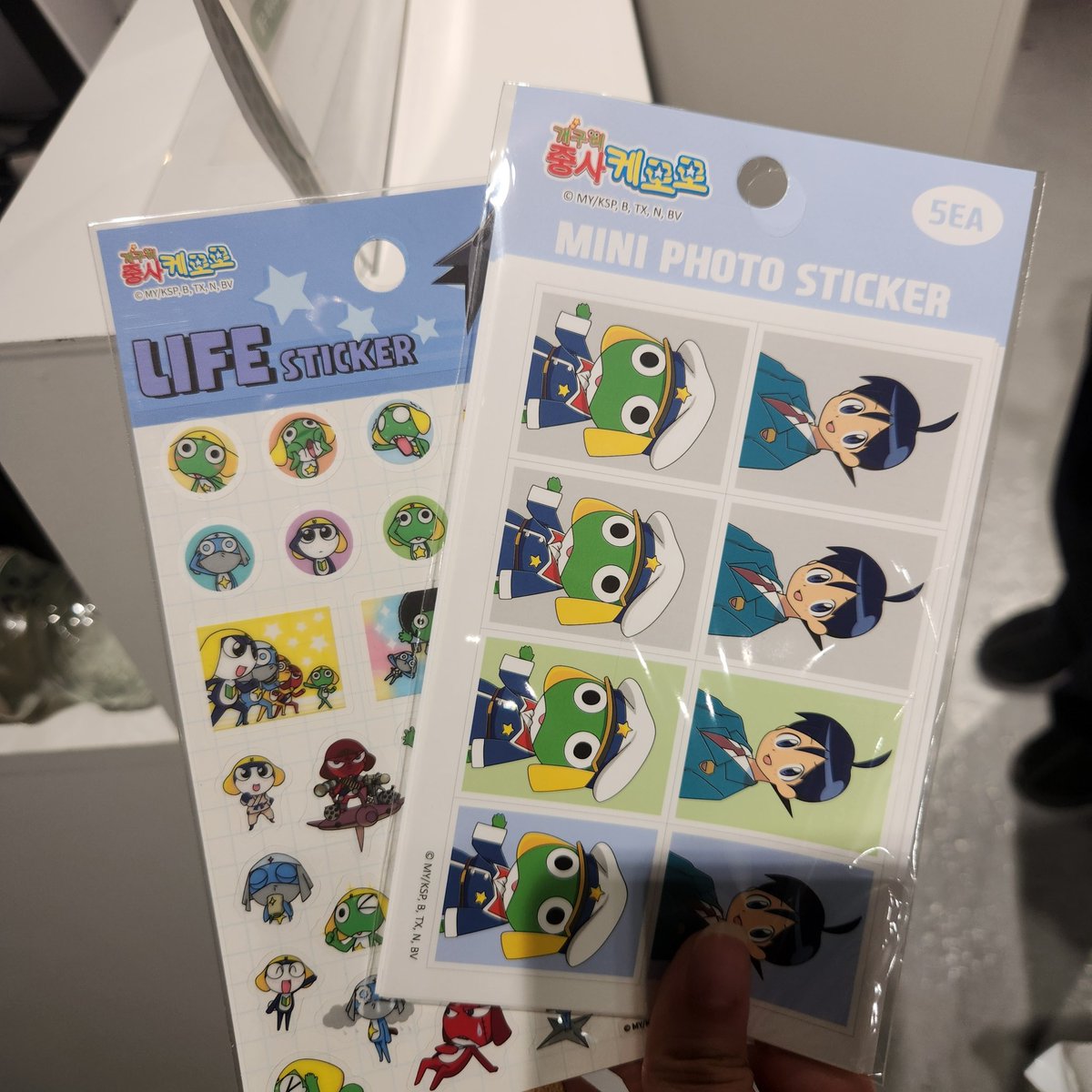 🌊투가🪸 tweet media