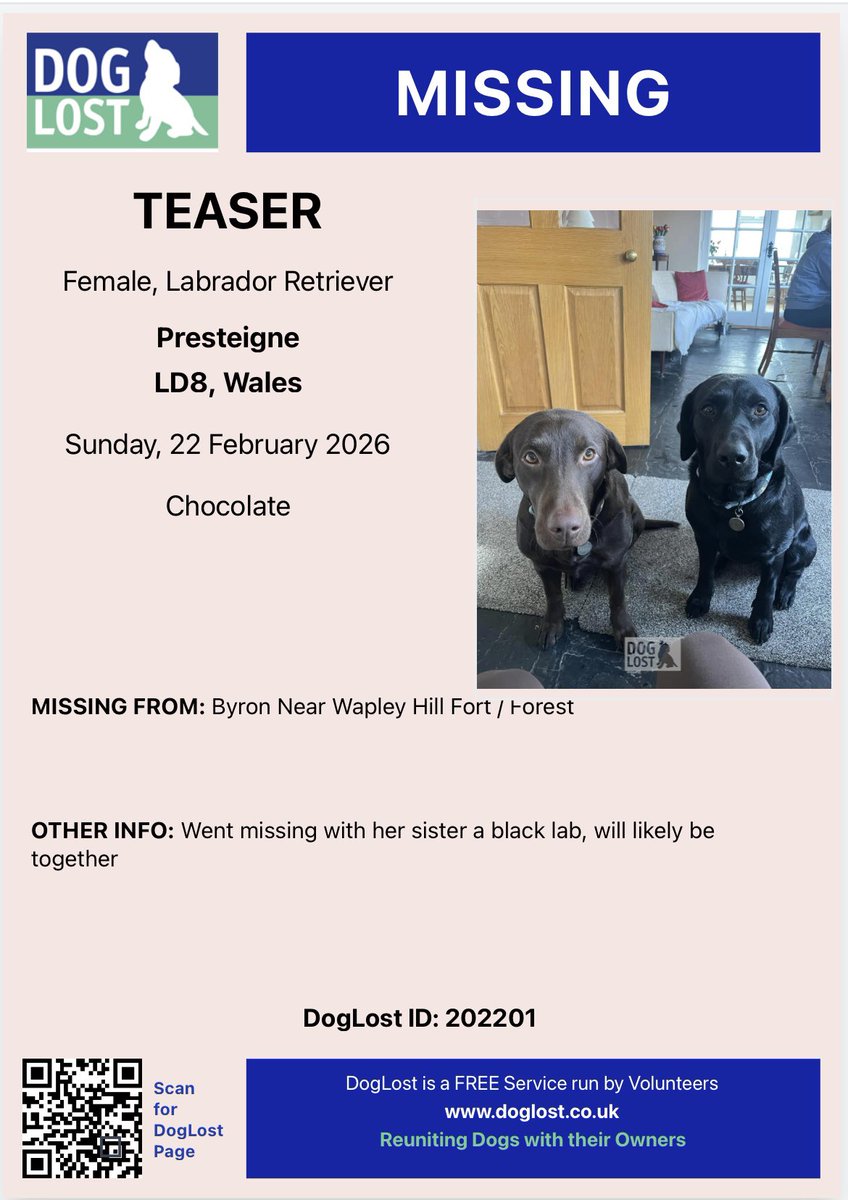 rosiedoc666's tweet image. 2 #Labs missing together 22/2/26 lost Byton, near Wapley Hill Fort / Forest 🌳 #presteigne #powys wales #LD8 
LUNA - black female #labradorretriever 
doglost.co.uk/dog/202200
TEASER - chocolate female #labrador 
doglost.co.uk/dog/202201

@presteigne @PresteigneArts @missingdogwales