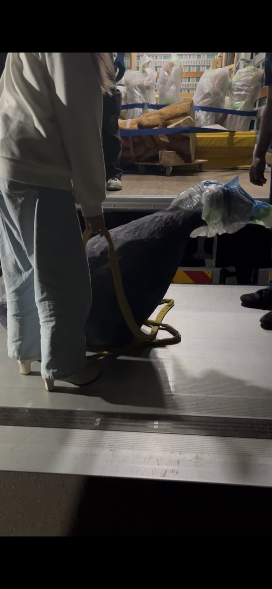 ＜やの tweet media