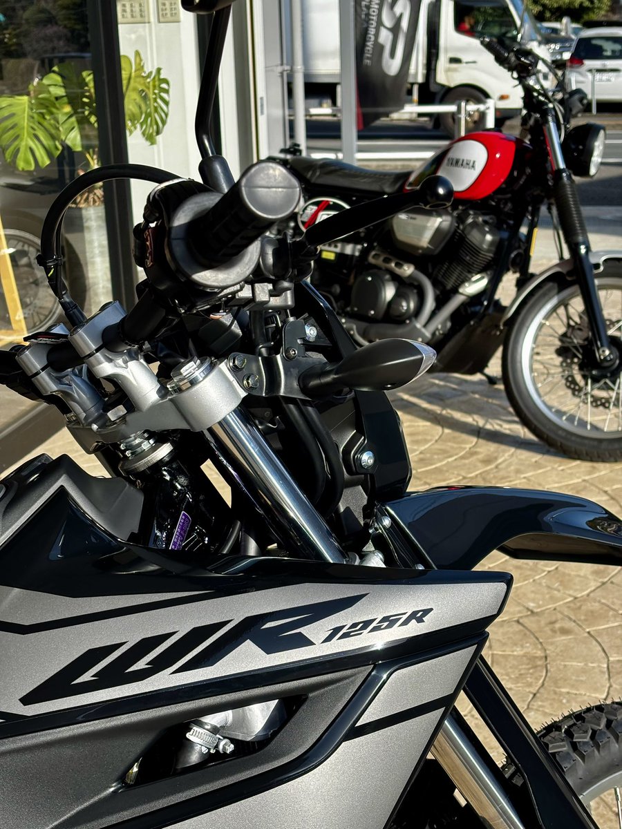 rinorohitsuka tweet media