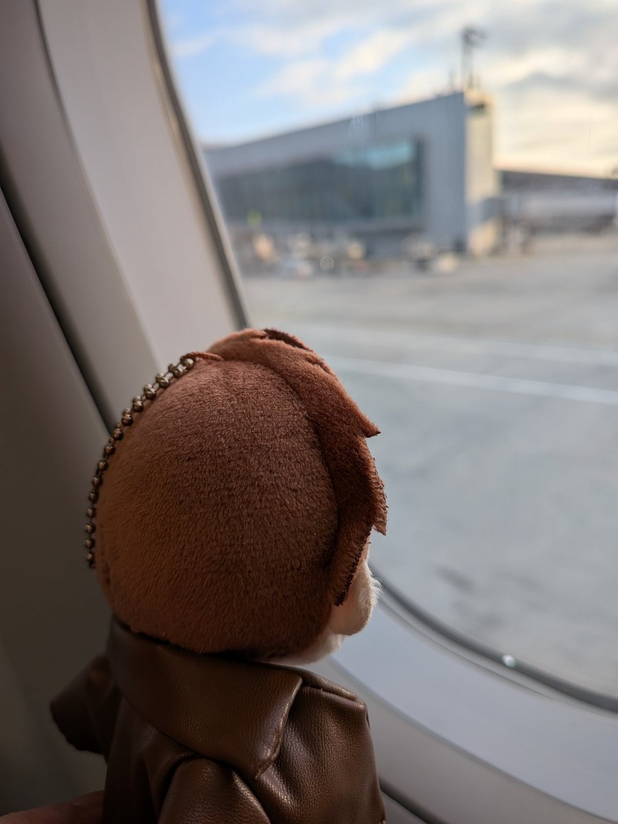 イスタンブールからローマへ✈️ うちのちびユーキは箱入りなので