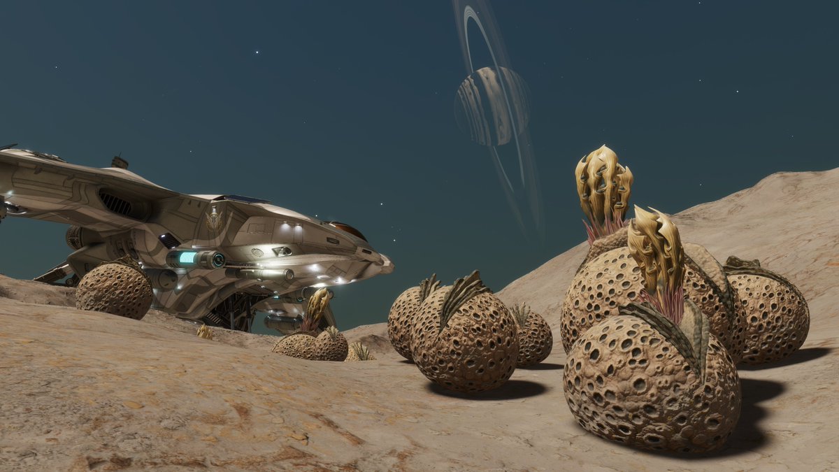 Malyda Sunstrider tweet media