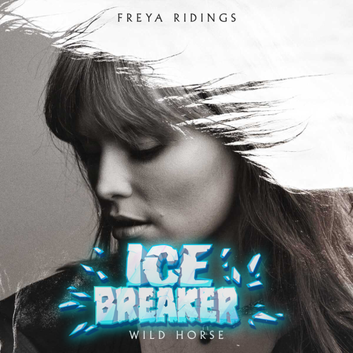 ICE RADIO tweet media