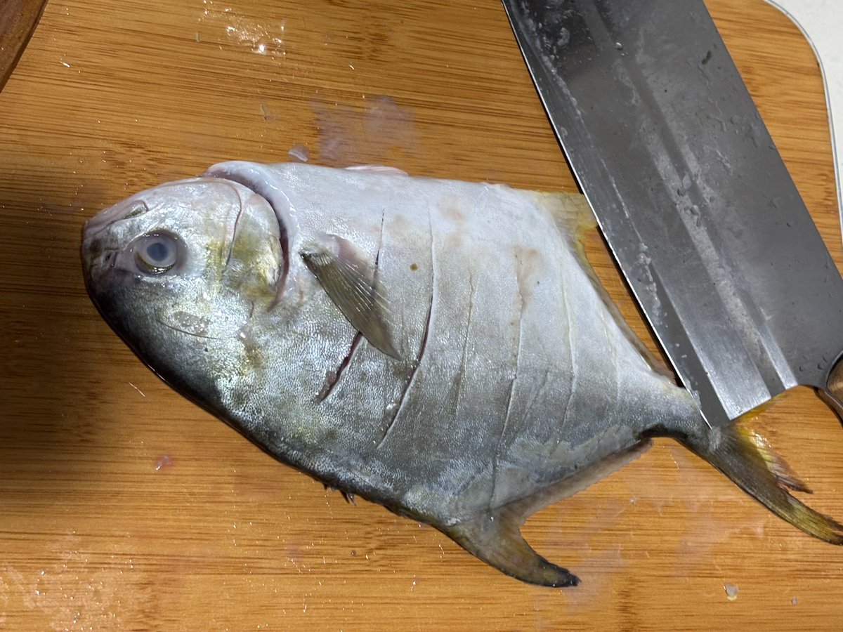 妹妹切条鱼笑晕我了